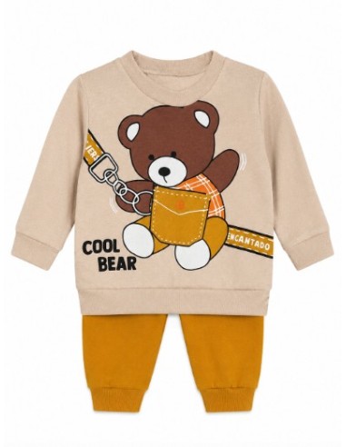 Ensemble cool bear