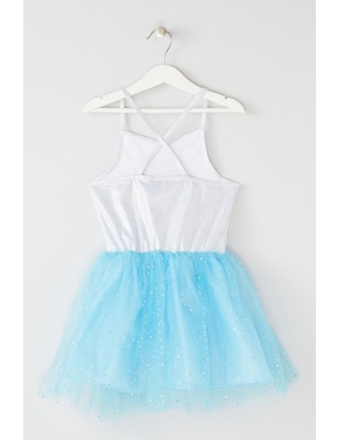 Robe princesse Frozen bleue