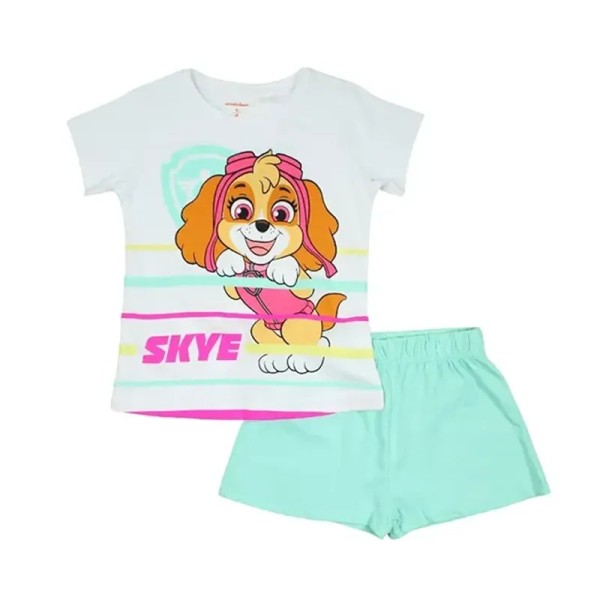 Ensemble Paw Patrol