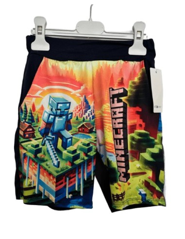 Ensemble short  Minecraft