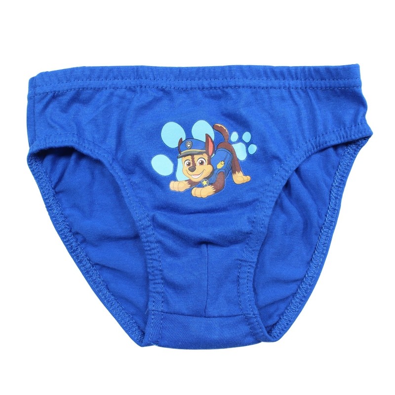 Lot de 3 slips enfant Paw Patrol