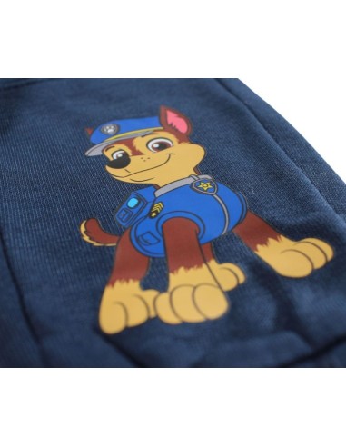 Jogging Paw Patrol