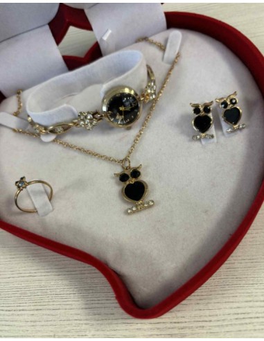 Coffret bijoux en acier femme